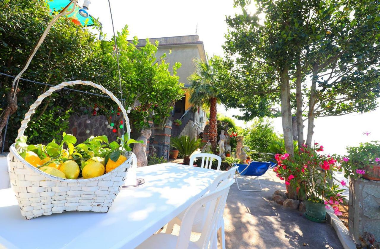Appartement La Rosa Del Sud - De Vivo Realty Sorrente Extérieur photo